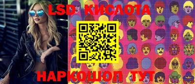 крисы Нальчик