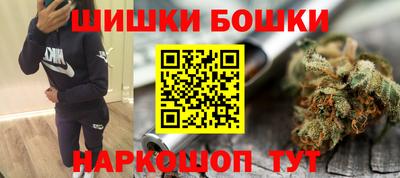 крисы Нальчик