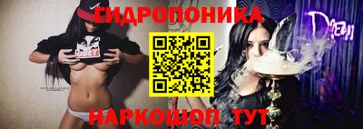 крисы Нальчик