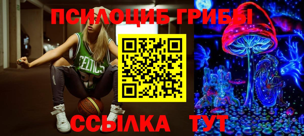 Солнечногорск  Галлюциногенные грибы Cubensis  Псилоцибиновые грибы мицелий  Вход с VPN 